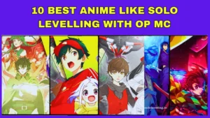 10 Best anime like solo levelling with op mc